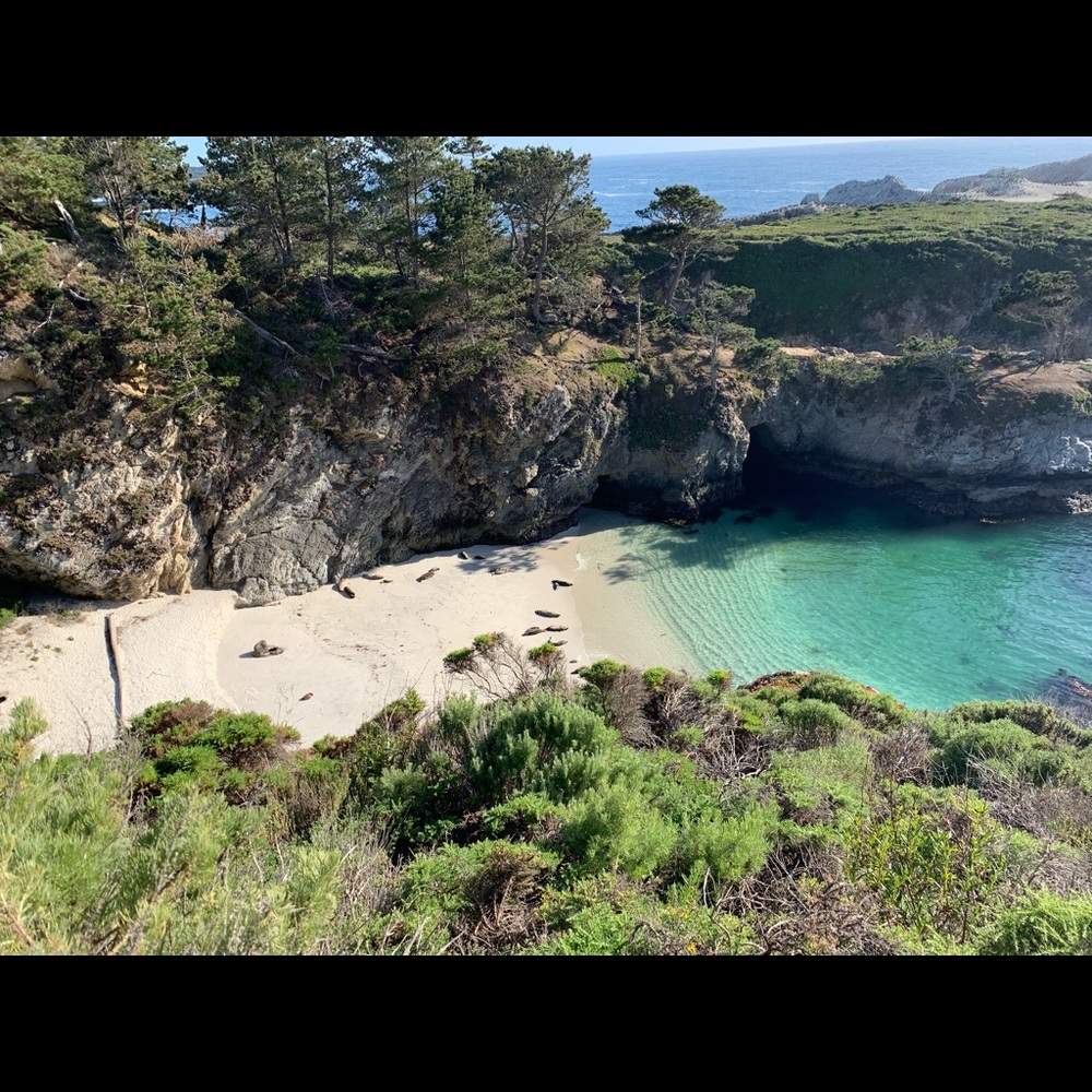 Meet your Posher, Yong-ling